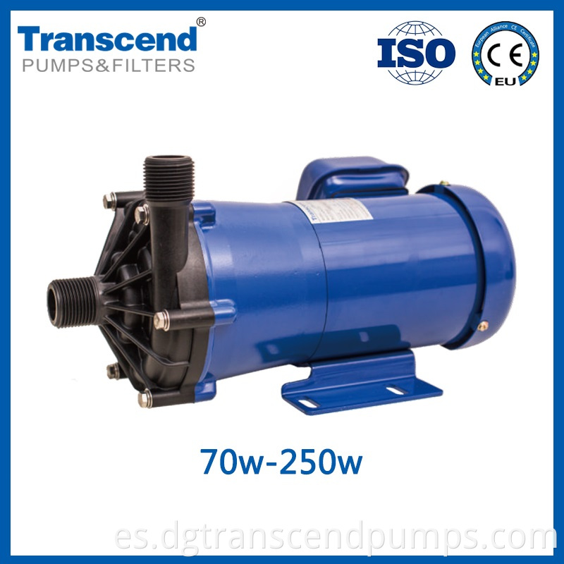 CX2 Magnetic Pump